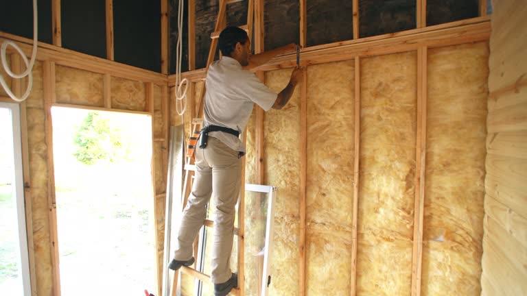 Types of Insulation We Offer in Kekaha, HI